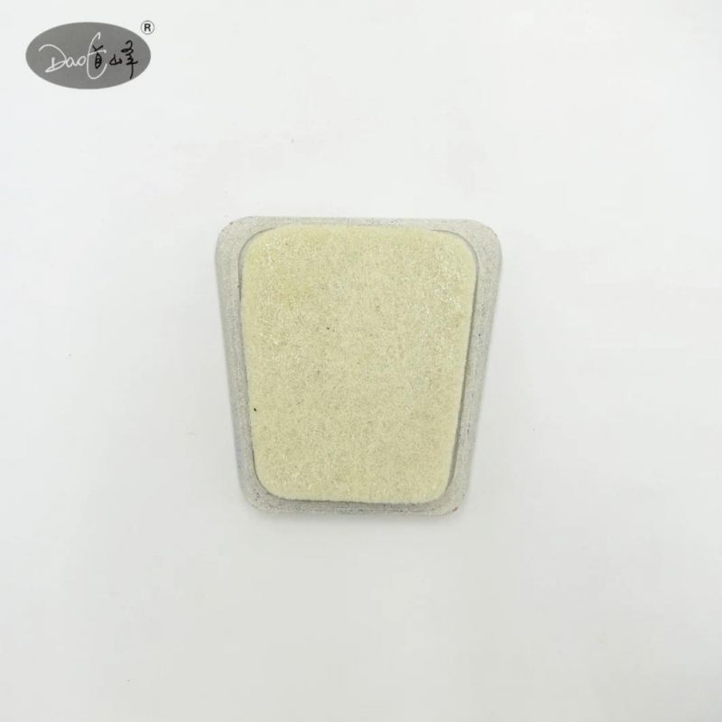 Daofeng Frankfurt Sponge Abrasives for Marble