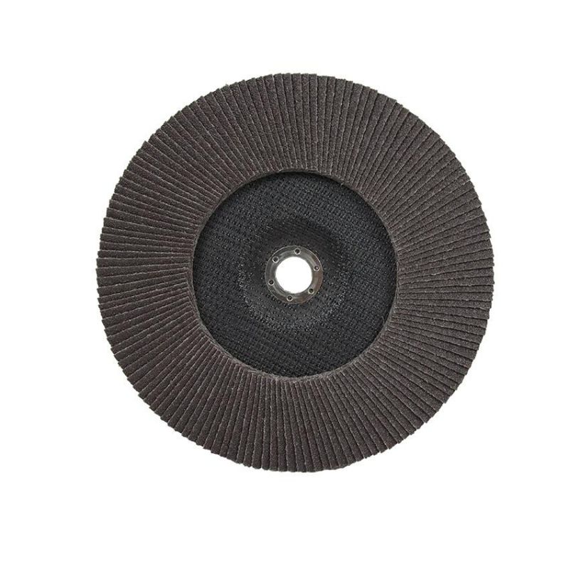 250mm*25mm Flap Disc for Polishing and Grinding