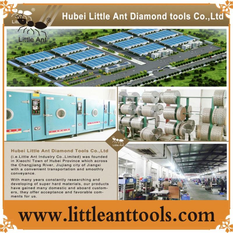 2019 Little Ant Brand Synthetic Diamond Single Crystal, Diamond Powder for Polishing Tools, Cutting Tools