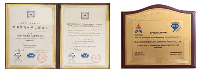 Best Sale Diamond Tool Grinding Plate, Concrete Grinding Plate with 4 Segments