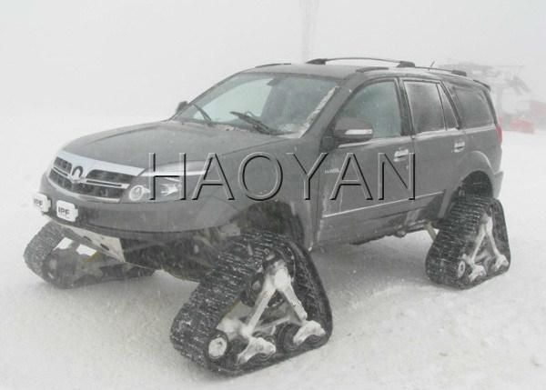 Toyota Triangular Wheel (snow area)