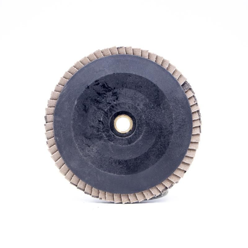 Flap Disc of Nylon Backing with Metal Thread for Japanese Market