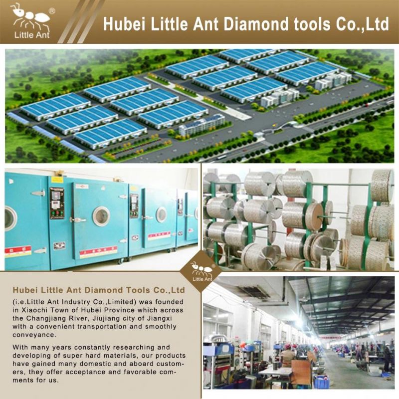 Trapezoid Concrete Floor Grinding Disk Diamond Tools with 2 Setments 3 Holes