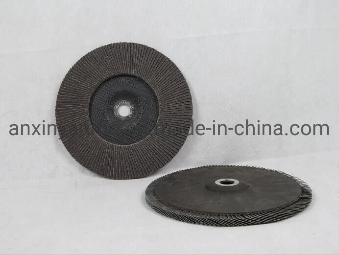 230mm Big Flap Disc