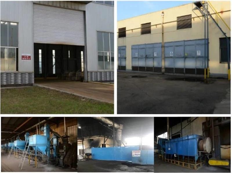 China Manufacturer Offer Best Conditioned Steel Cut Wire Shot