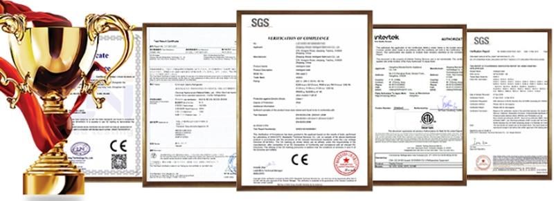 High Quality Abrasive Grain Bearing Steel Grit with ISO Certificate