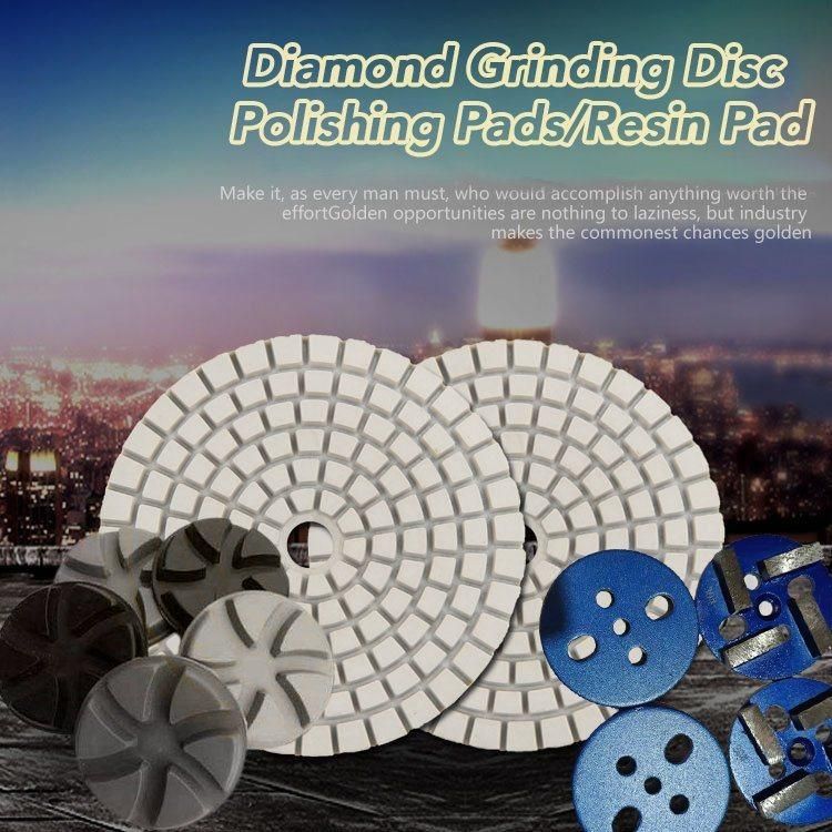 Hot Sale Premium Grade 4" Dry Diamond Floor Polishing Pads