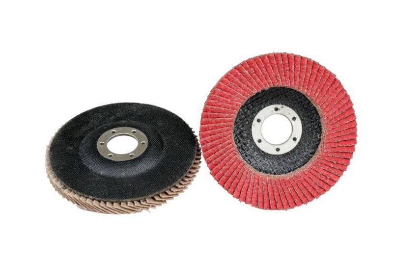 Standard Flap Disc Polishing and Grinding Disc Abrasive Disc