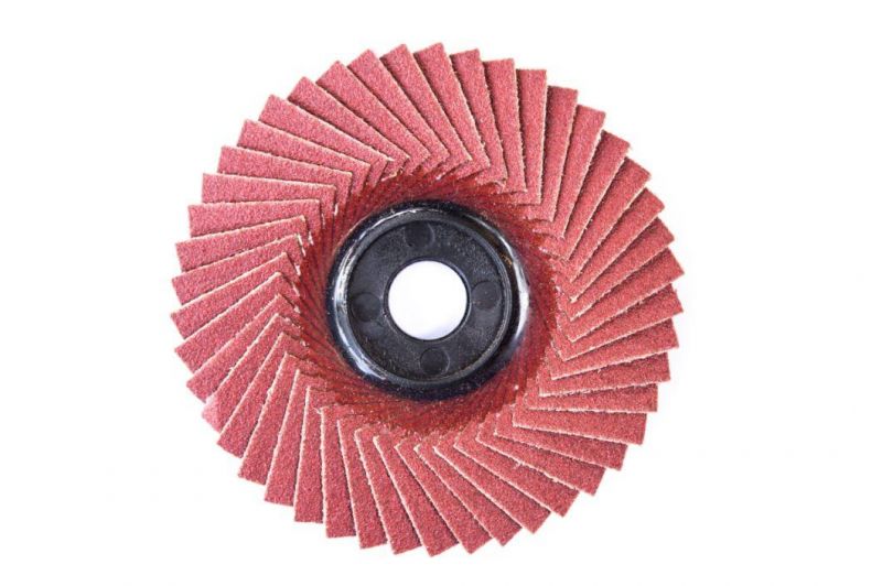 125 X 22mm Abrasive Flap Blade Disc Radial