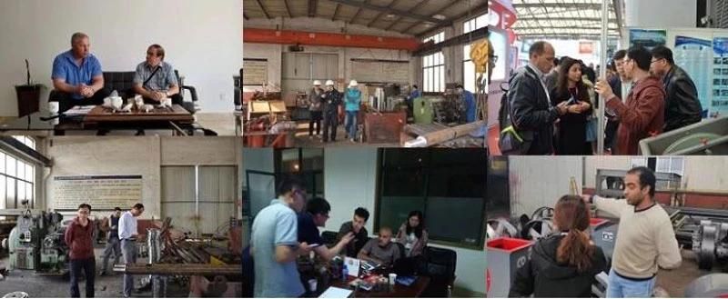 China Manufacturer Offer Best Conditioned Steel Cut Wire Shot