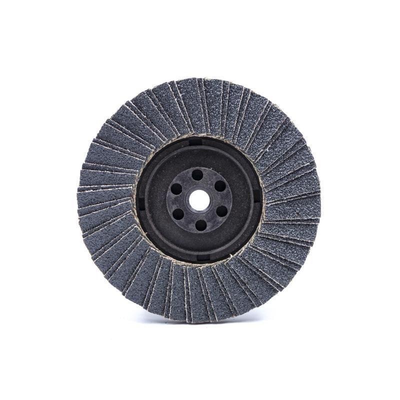 Flap Disc of Nylon Backing with M10 Thread for Japanese Market