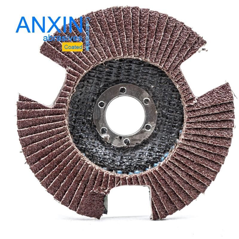 Visible Flap Disc