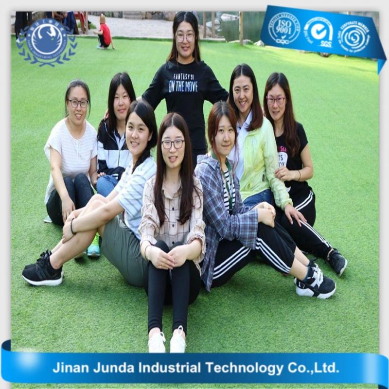 High Fatigue Resistance Abrasive Bearing Steel Grit for Stone Cutting Material America SAE-J444 Standard