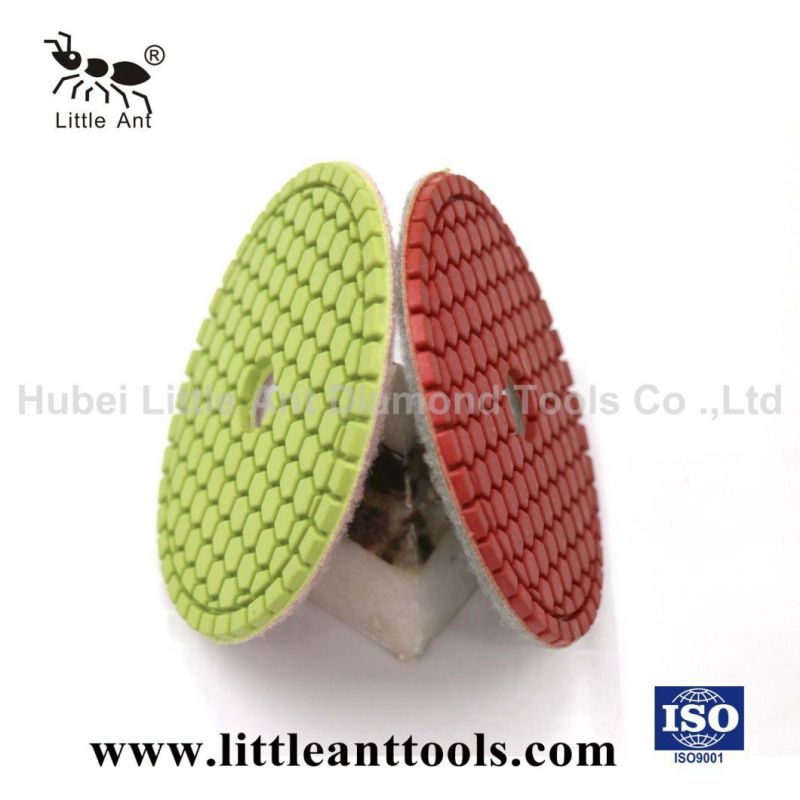 Little Ant Hex Pads 4 Inch Wet