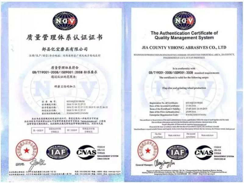 High Quality Premium Wear-Resisting Zirconia Alumina Sanding Belt for Grinding Stainless Steel and Metal