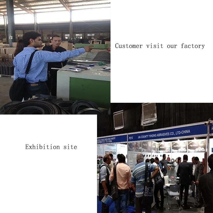 Factory Directly Supply Cutting Discs with Various Sizes