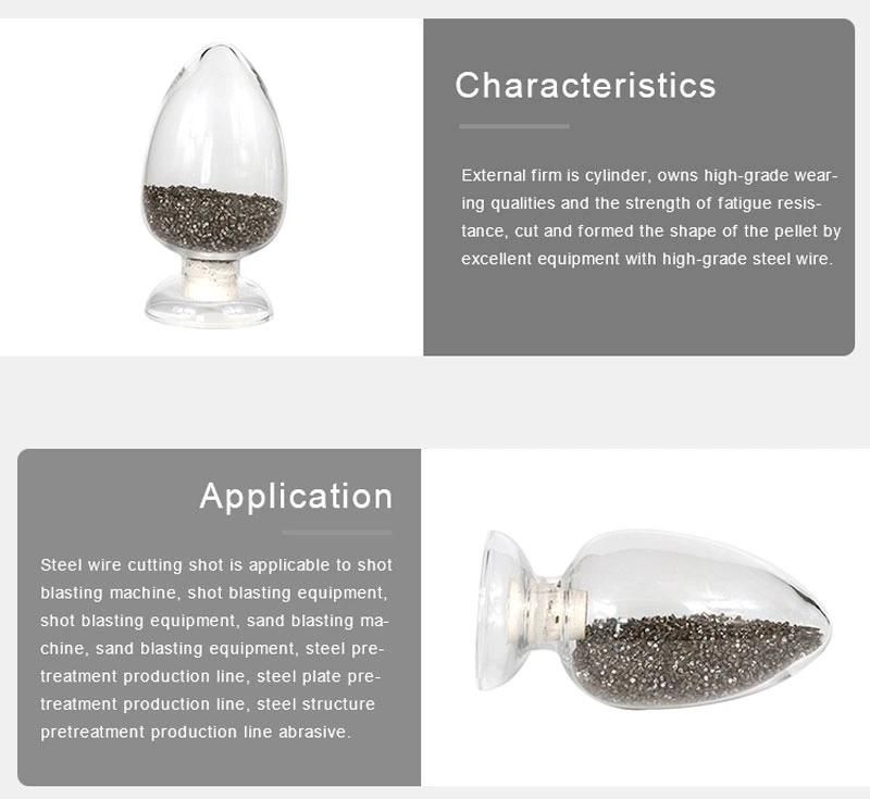 High Quality Cut Wire Sand Blasting Shot for Shot Blasting