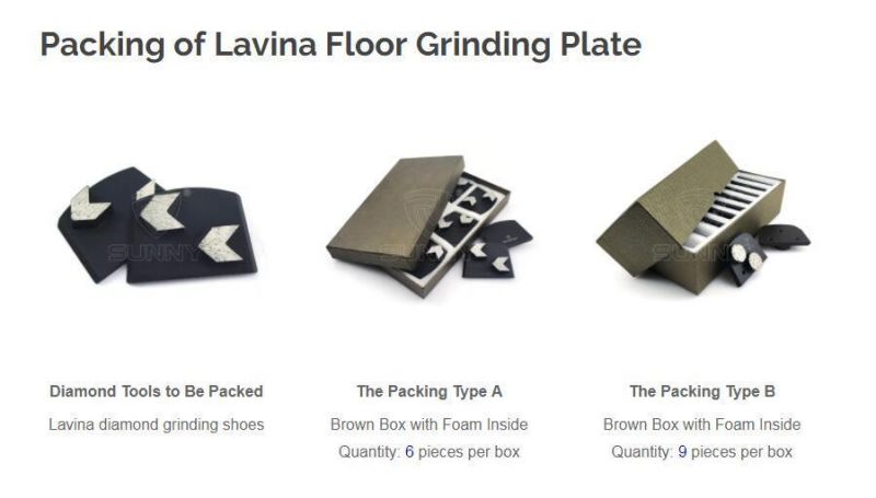 Ziazag Lavina Segment Diamond Tool for Concrete Floor